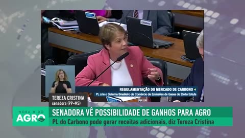 Mercado de Carbono no Agro: Transformando Desafios em Oportunidades?