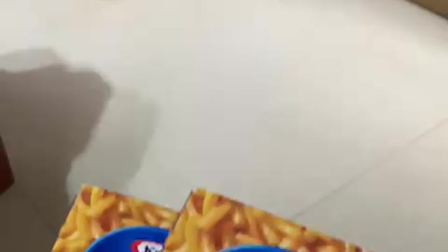 Cute dog is running away from macaroni and cheese (Part 1)