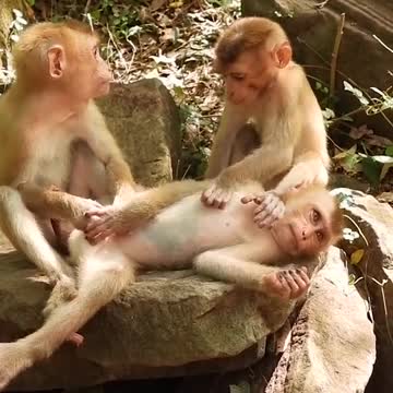 Amazing money family 💘