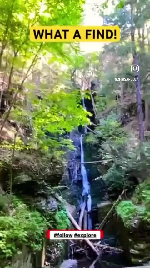 WASN’T IT BEAUTIFUL?