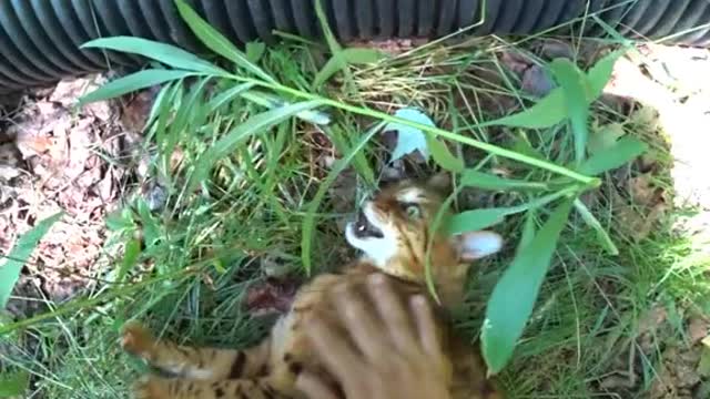 Pouncey makes the weirdest sounds😂