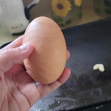 Giant egg
