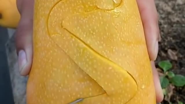 Fresh mango in usa