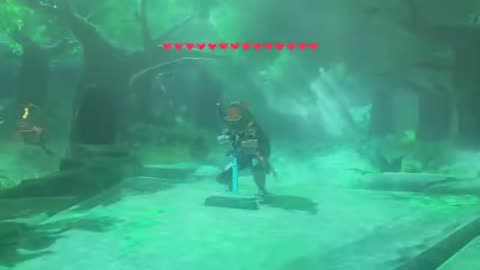 botw - midna wanted me to wear this when I got the master sword I guess