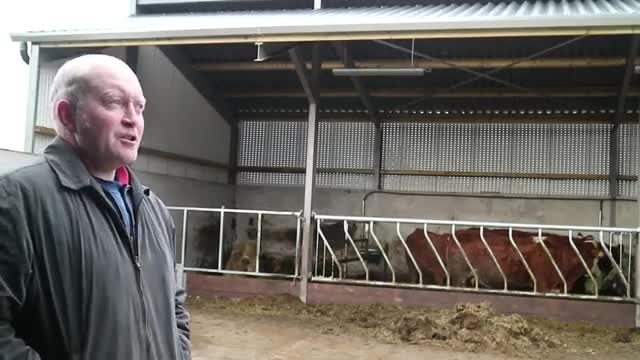 Farmer know how - weighing cattle