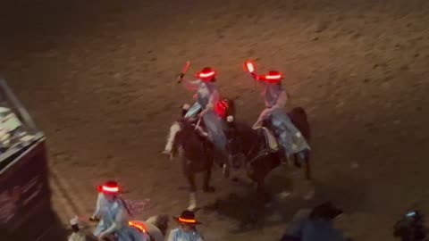 January, Darian, Beastie, and Belle National western stock finals