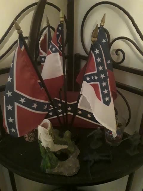 Rebel Flag Hating *another rumble exclusive*