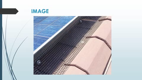 Best Solar Panel Bird Proofing in Potts Hill