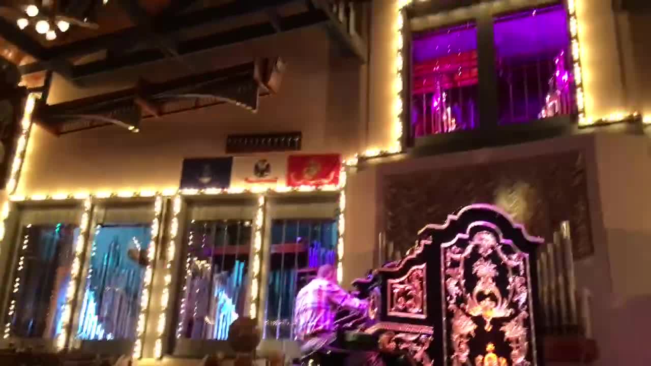 Organ Stop