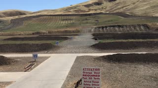 Wild turkey walking across a live shooting range