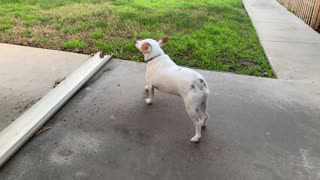 Milo's Stretching Sequence