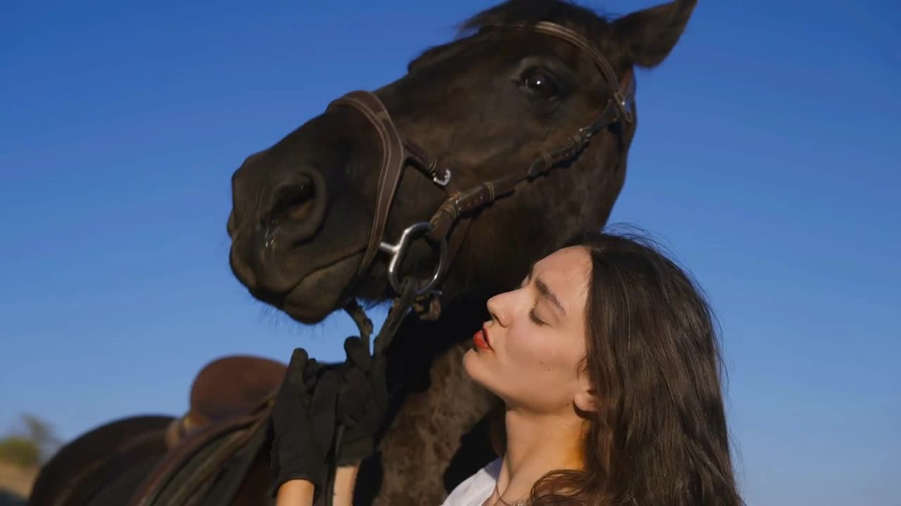 Close-up head of graceful horse with slim beautiful equestrian talking hugging mammal