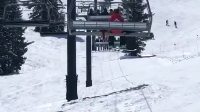 tiktok dogs01