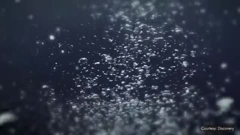 Bermuda triangle mystry