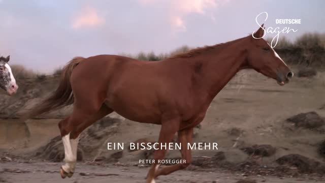 Ein bisschen mehr