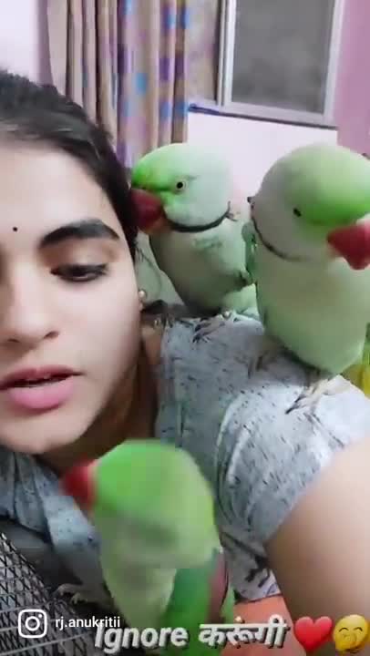 Funny Parrots Videos Compilation cute moment of the animals - Cutest Parrots #3