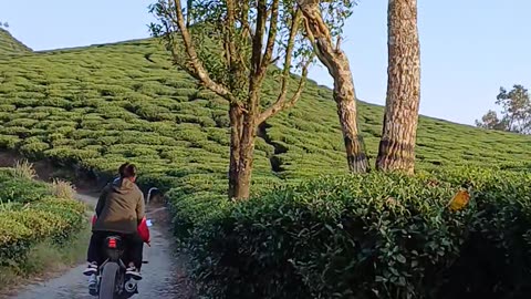 Darjeeling best places.