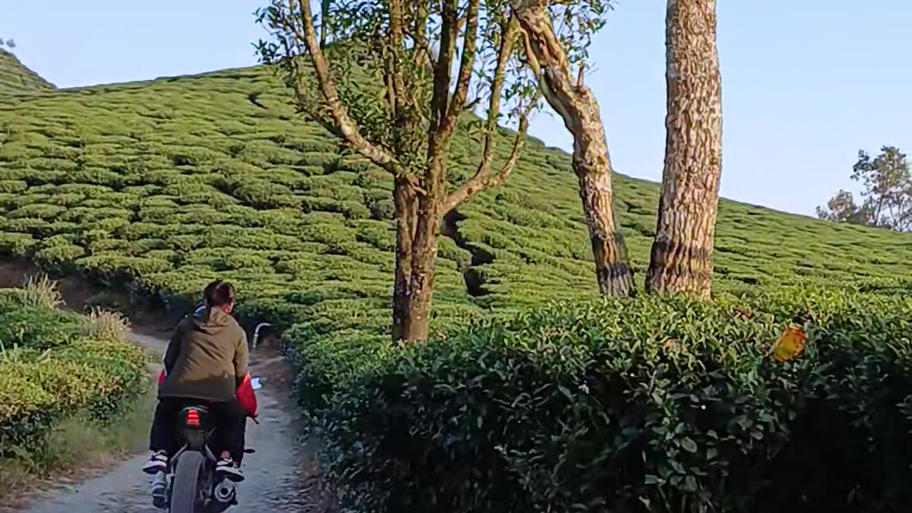 Darjeeling best places.