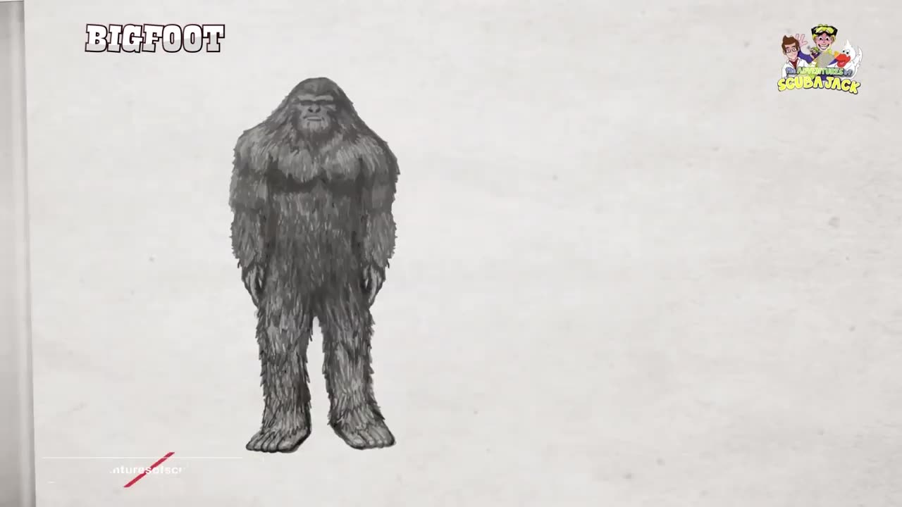 Interesting Facts about Bigfoot