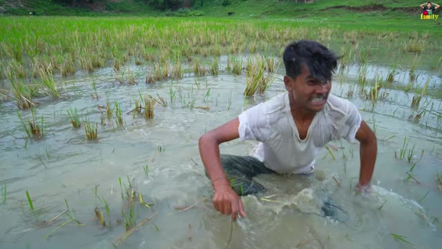 Must watch funny video