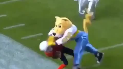 MASCOT#SAVAGE