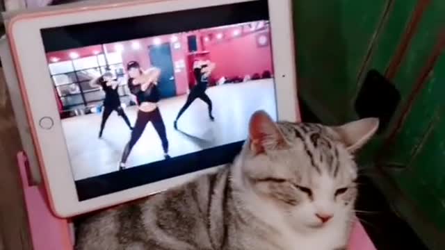 mom said that he was going