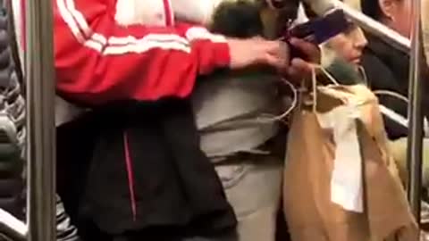 Guy holds a goat on subway train, people talk about colorism on train