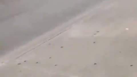 I knew This would happen 🤣🤣