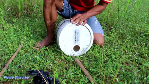 Simple Wild Cat Trap - Wild Cat Trap Using Plastic container