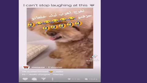 مقاطع فيديو مضحكة جداً 😂😂