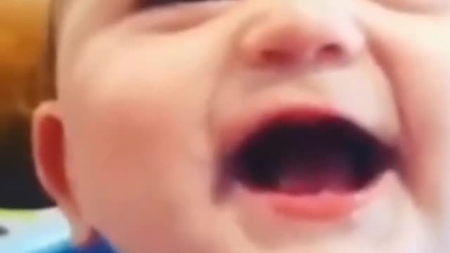 Funny Baby Laughing Videos