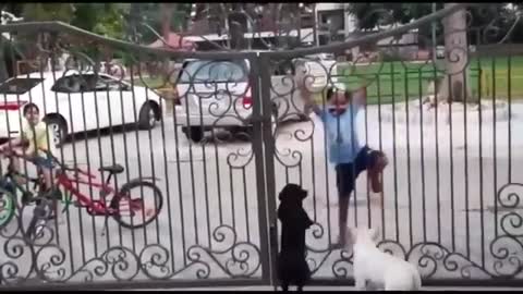 Amazing Dog and Kid dance