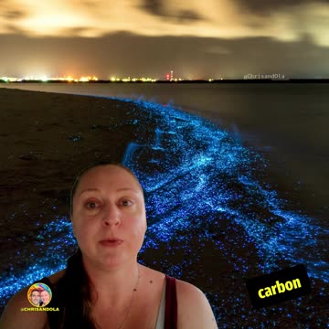 DO YOU KNOW ABOUT PLANKTON?