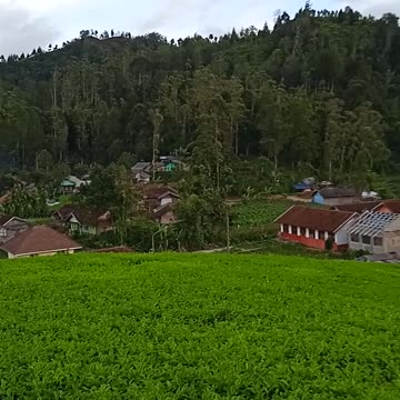 A place that can make calm is a wide and beautiful view. Give ourselves time to rest