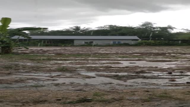 in thailand collecting water rain