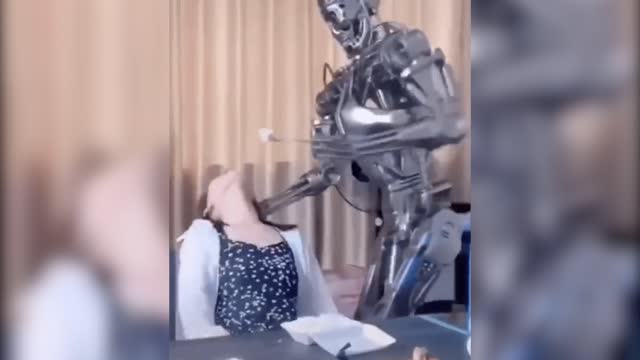 Robot nanny, interesting, humor, robot