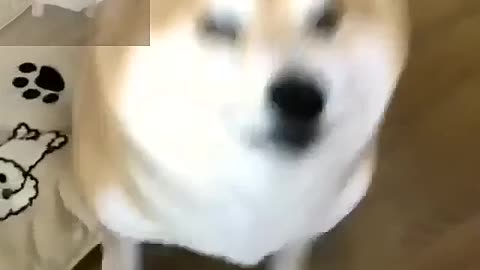 To smile