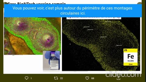 Analyse de 3 des principaux V* sous Microscope par une équipe d'Universitaires Allemands