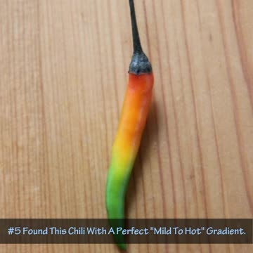 Mouth Watering Photos Of Foods We All Love