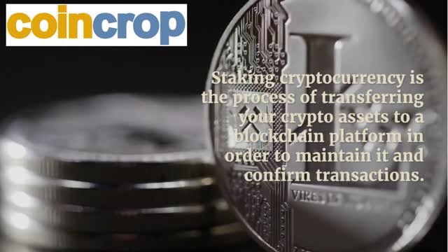 Staking | Coin Crop