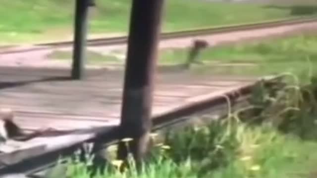 .Rdr do be something else 💀😂