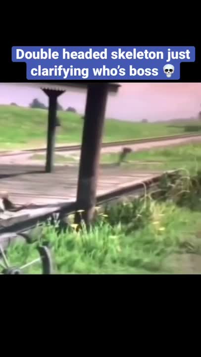 .Rdr do be something else 💀😂