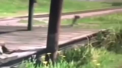 .Rdr do be something else 💀😂