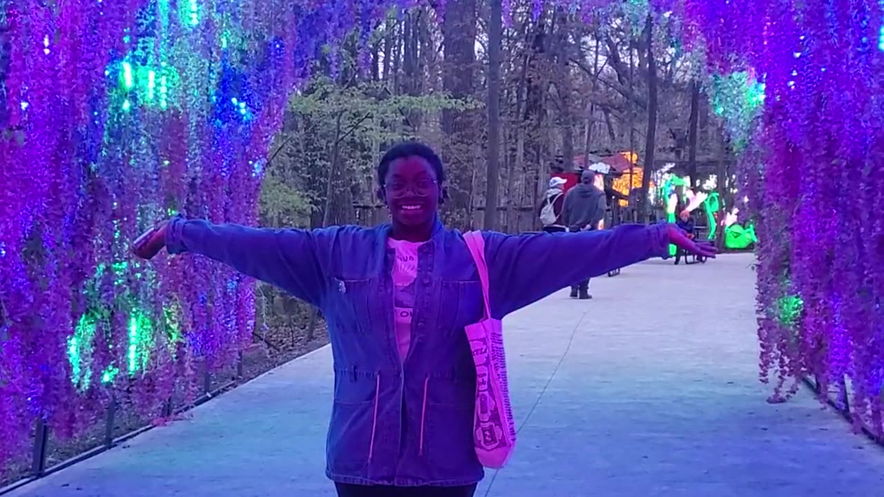 Grand Valley Light show at the Zoo