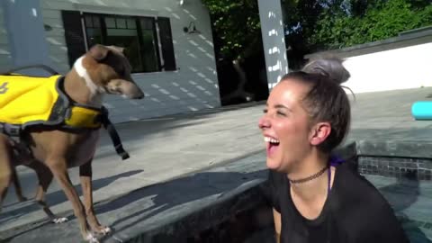 Teach your Dogs How To Swim (part 2)