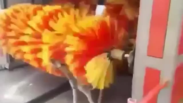 Not sure if this belongs here but it makes me smile every time I watch it!