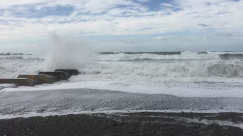 Leithfield Beach