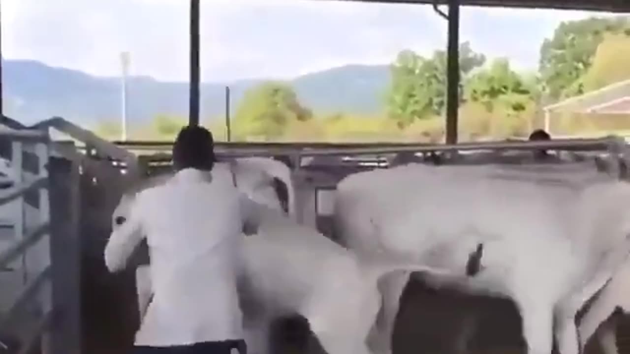 Karma For The Herder