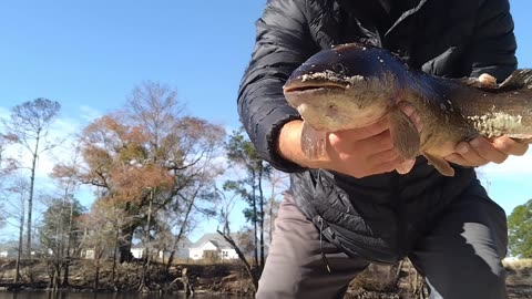 Waclaw River Bank fishing December catching a bowfin