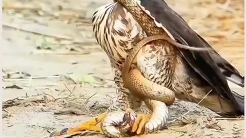 What lesson did you learn from this?